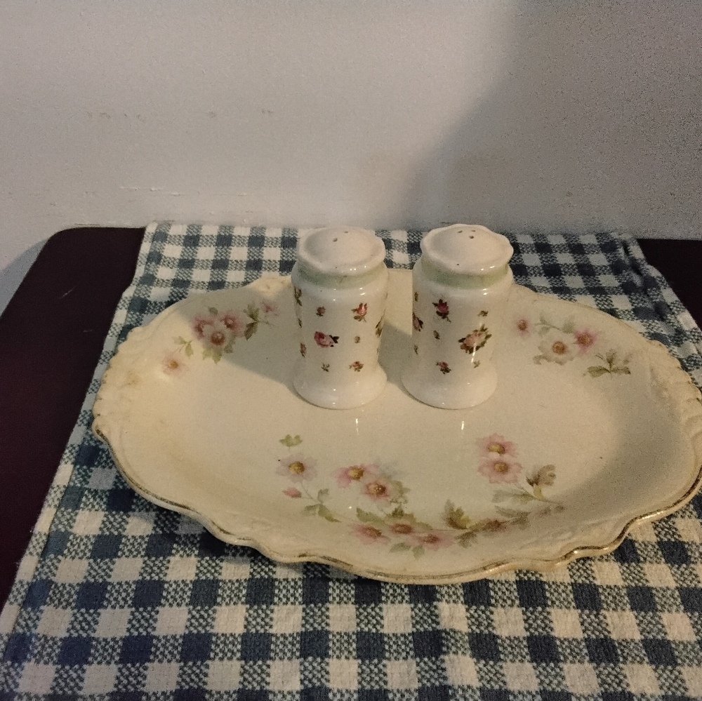 Homer Laughlin Floral Virgina Rose Ceramic Plate with Salt and Pepper Shakers